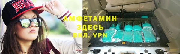 сатива Беломорск