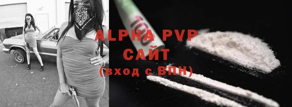 метадон Богданович