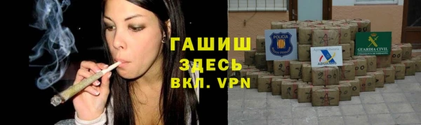 метадон Богданович