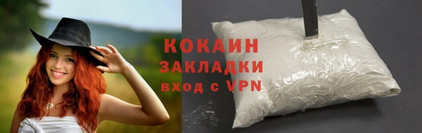 метадон Богданович