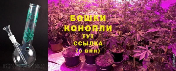метадон Богданович