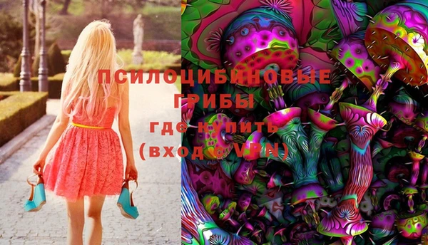 дурь Богородицк