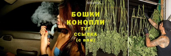метадон Богданович