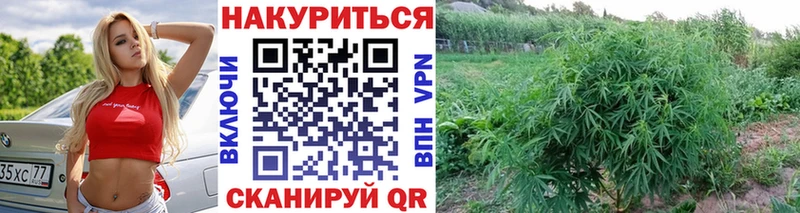 Шишки марихуана LSD WEED  Купить  Корсаков 